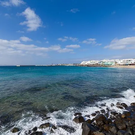 Erizos Playa Blanca (Lanzarote)