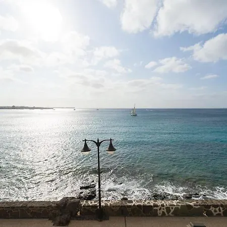 Erizos Playa Blanca (Lanzarote)