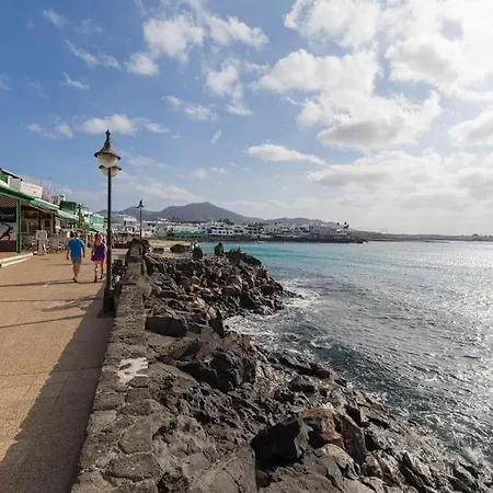 Erizos Playa Blanca (Lanzarote)